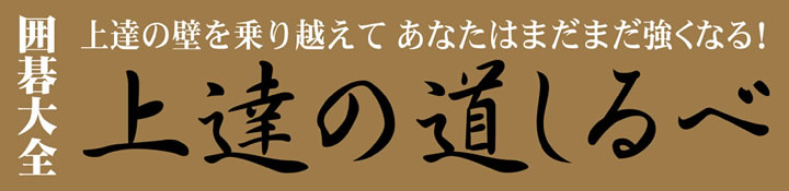 囲碁大全「上達の道しるべ」